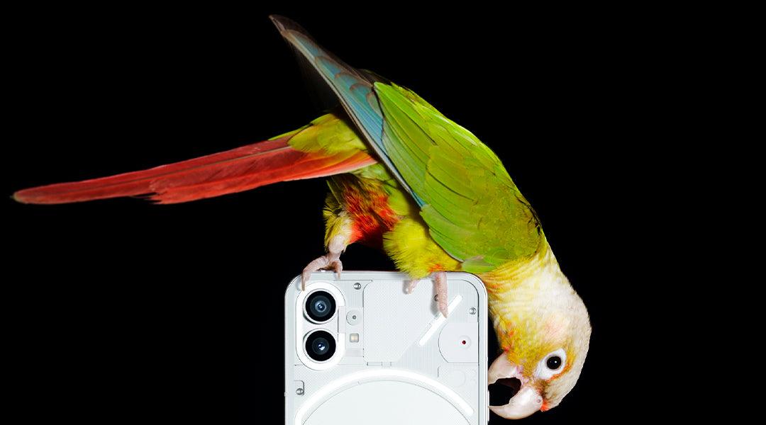 Nothing Phone (1)