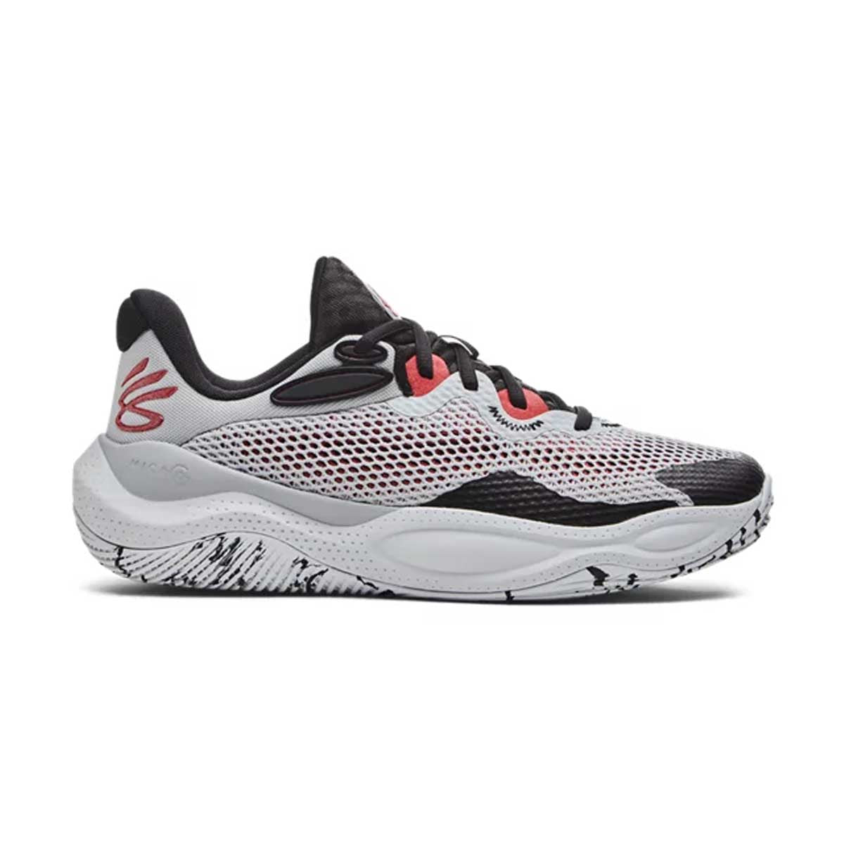 Curry Splash 24 AP 'Halo Grey'