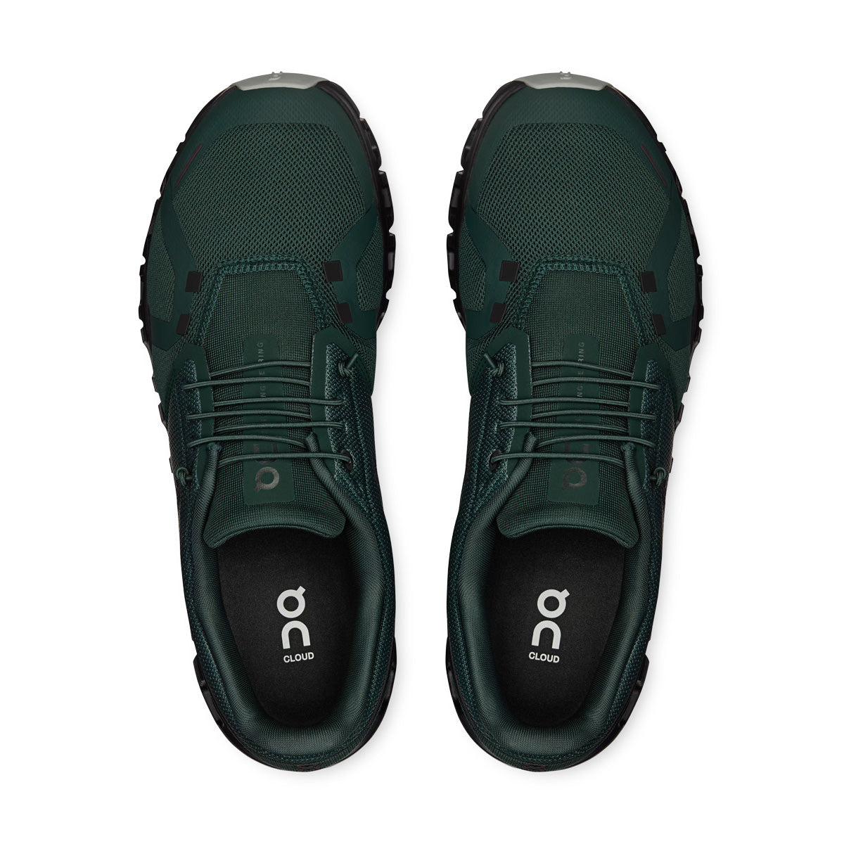 Cloud 6 'Evergreen'