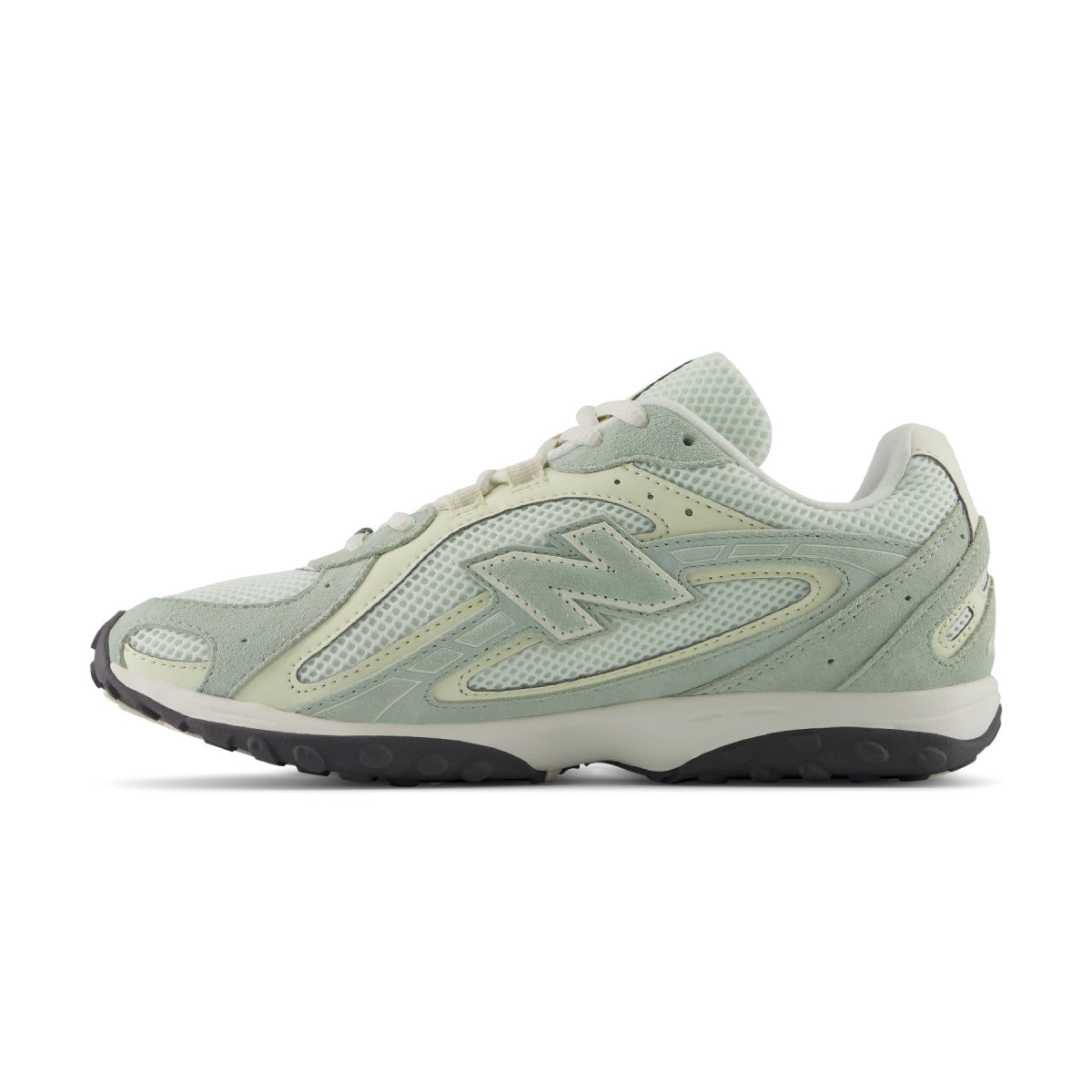 204L 'Silver Moss'