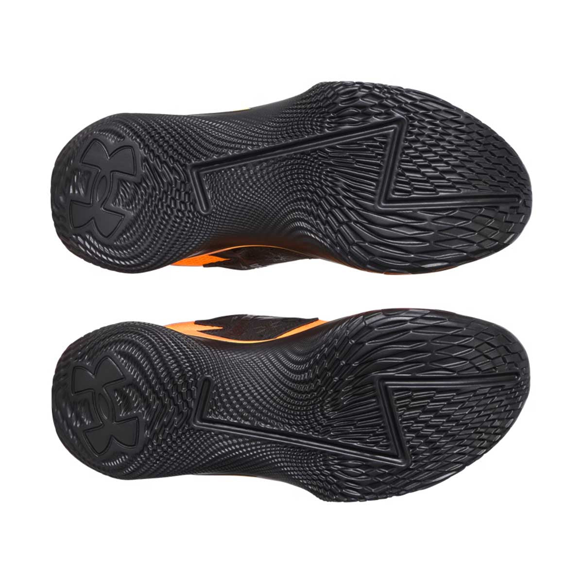 Curry Fox 1 'Banzitos'