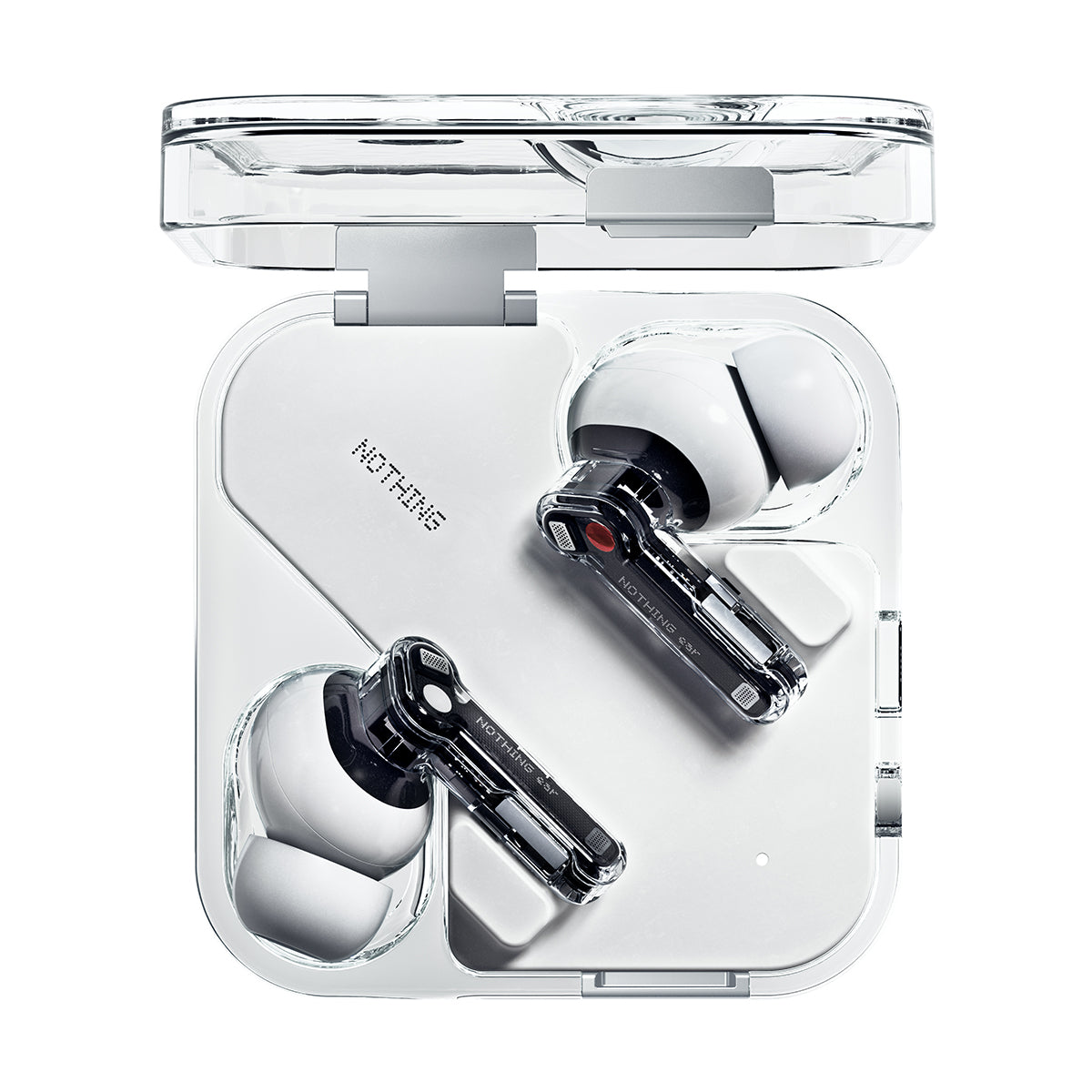 Ear 'White'
