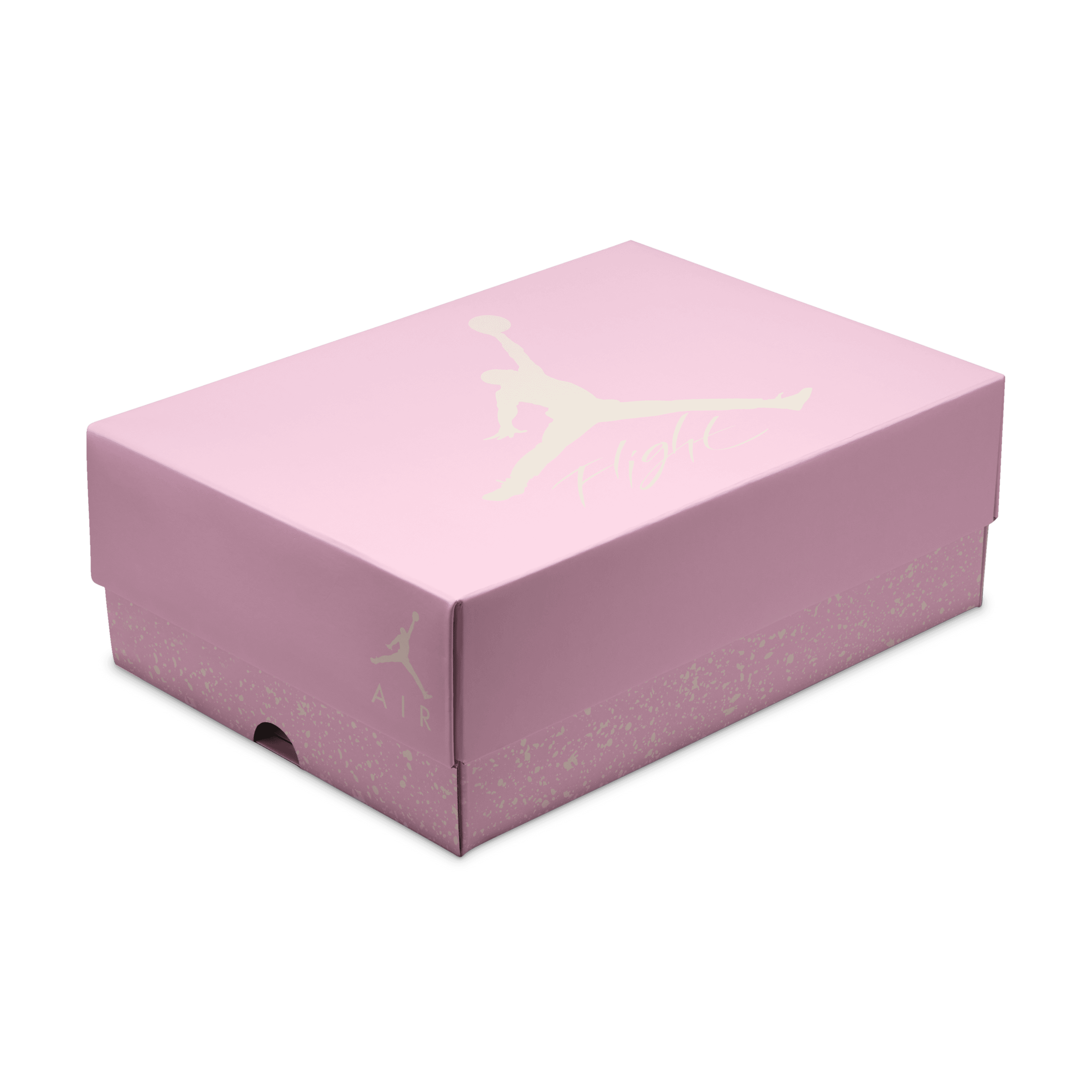 Wmns Air Jordan 4 Retro Tex 'Ice Carmine'