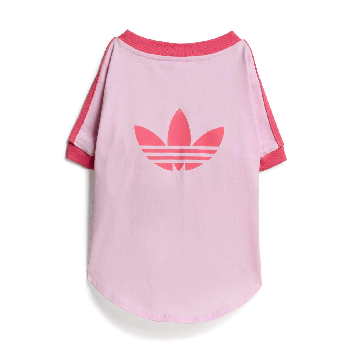 Pet Cali Tee 'Clear Pink Real Pink'