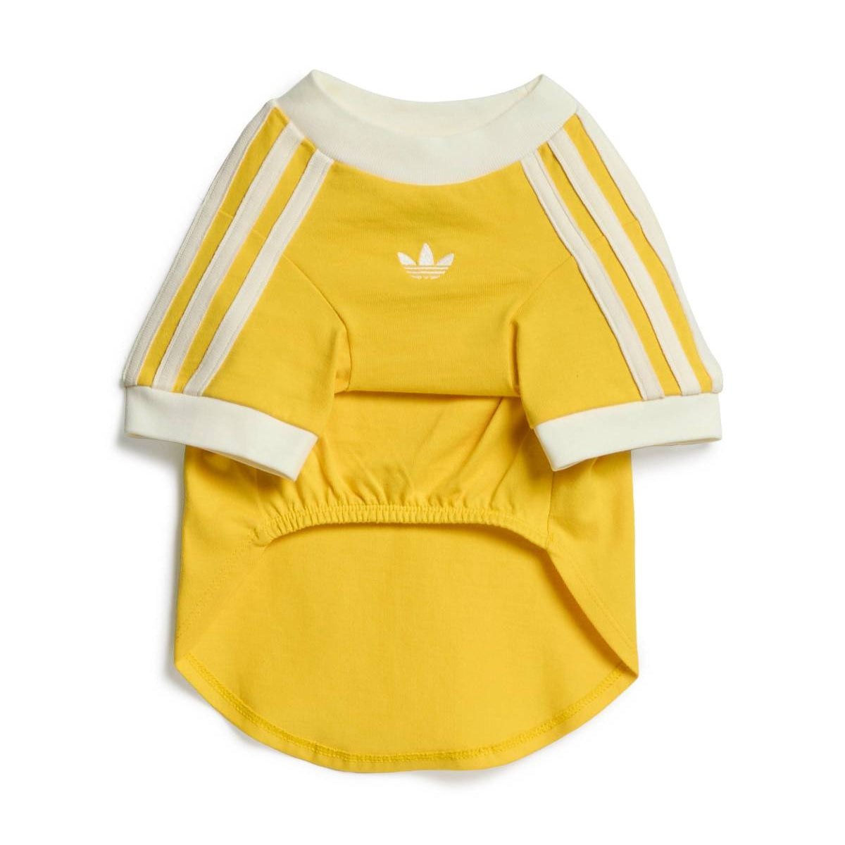 Pet Cali Tee 'Bold Gold Off White'