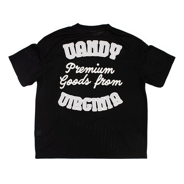 VANDYTHEPINK メッシュシャツ XL VD1050-100-1_grande.jpg?v=