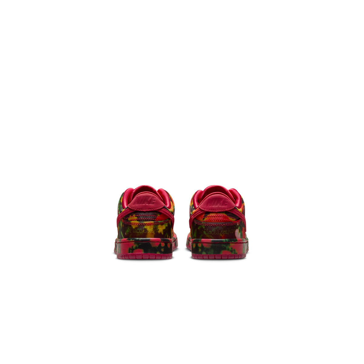 '+ Wizard of Oz Kids SB Dunk Low Pro 'Poppy Fields'