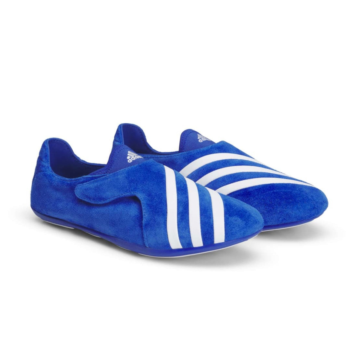 + Pharrell Vario Flat Earther 'Blue'