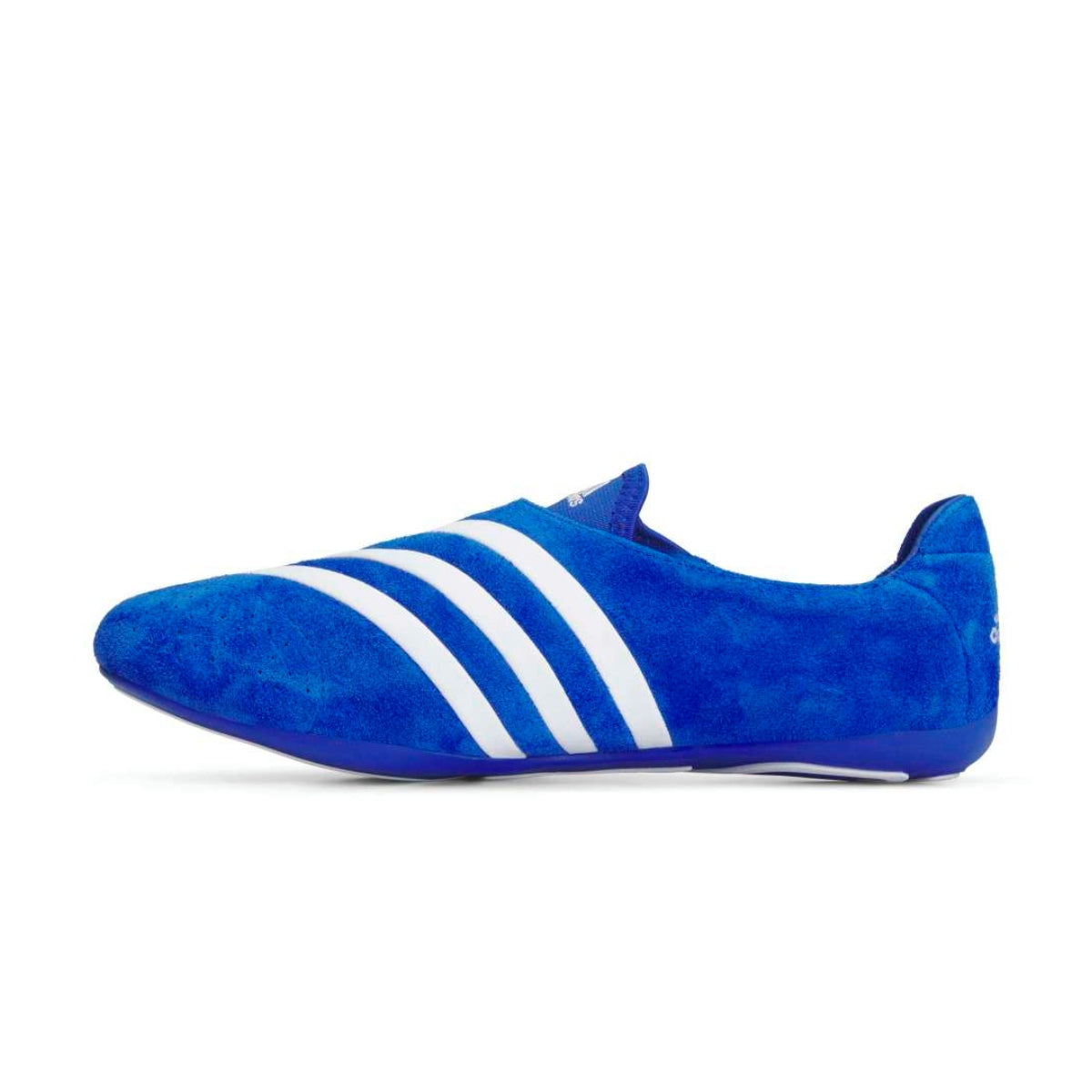 + Pharrell Vario Flat Earther 'Blue'