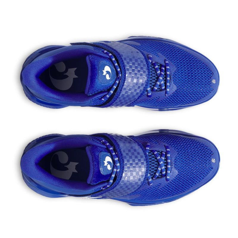 Curry Fox 1 'Lexington'