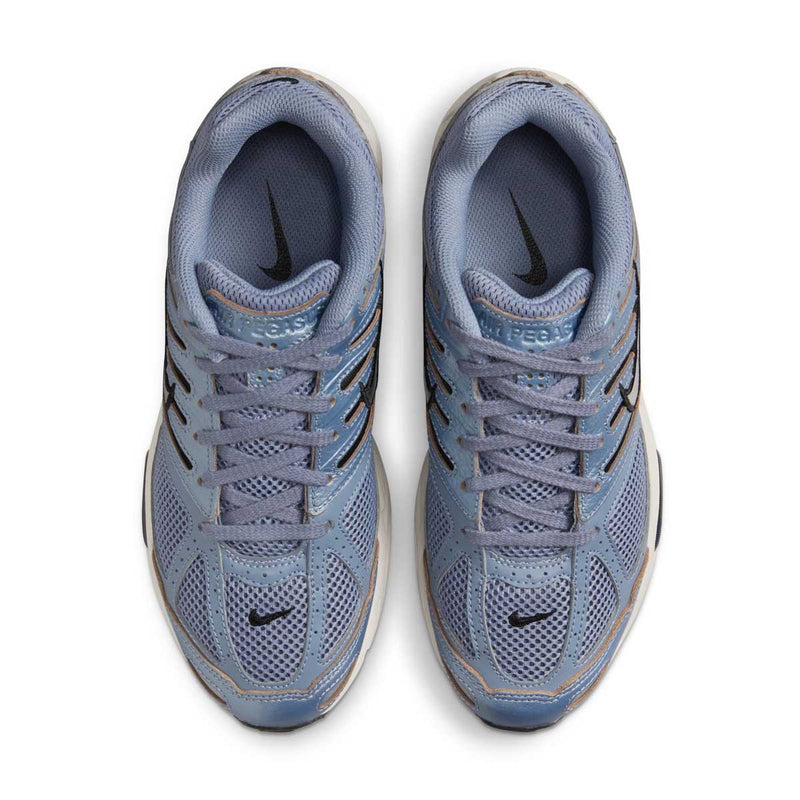 Wmns Air Pegasus 2K5 'Ashen Slate'