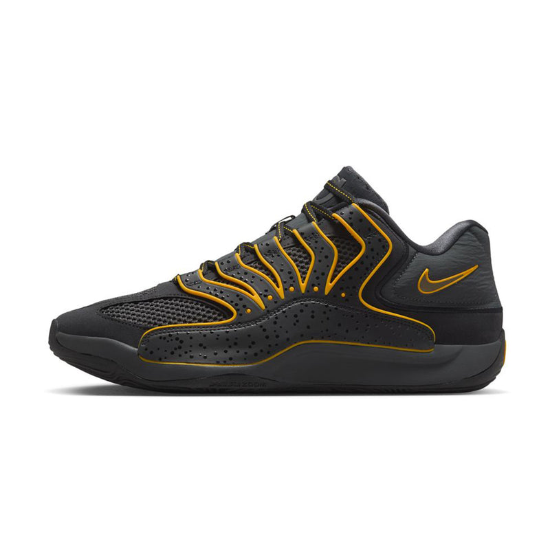 KD18 EP 'Black Anthracite University Gold'