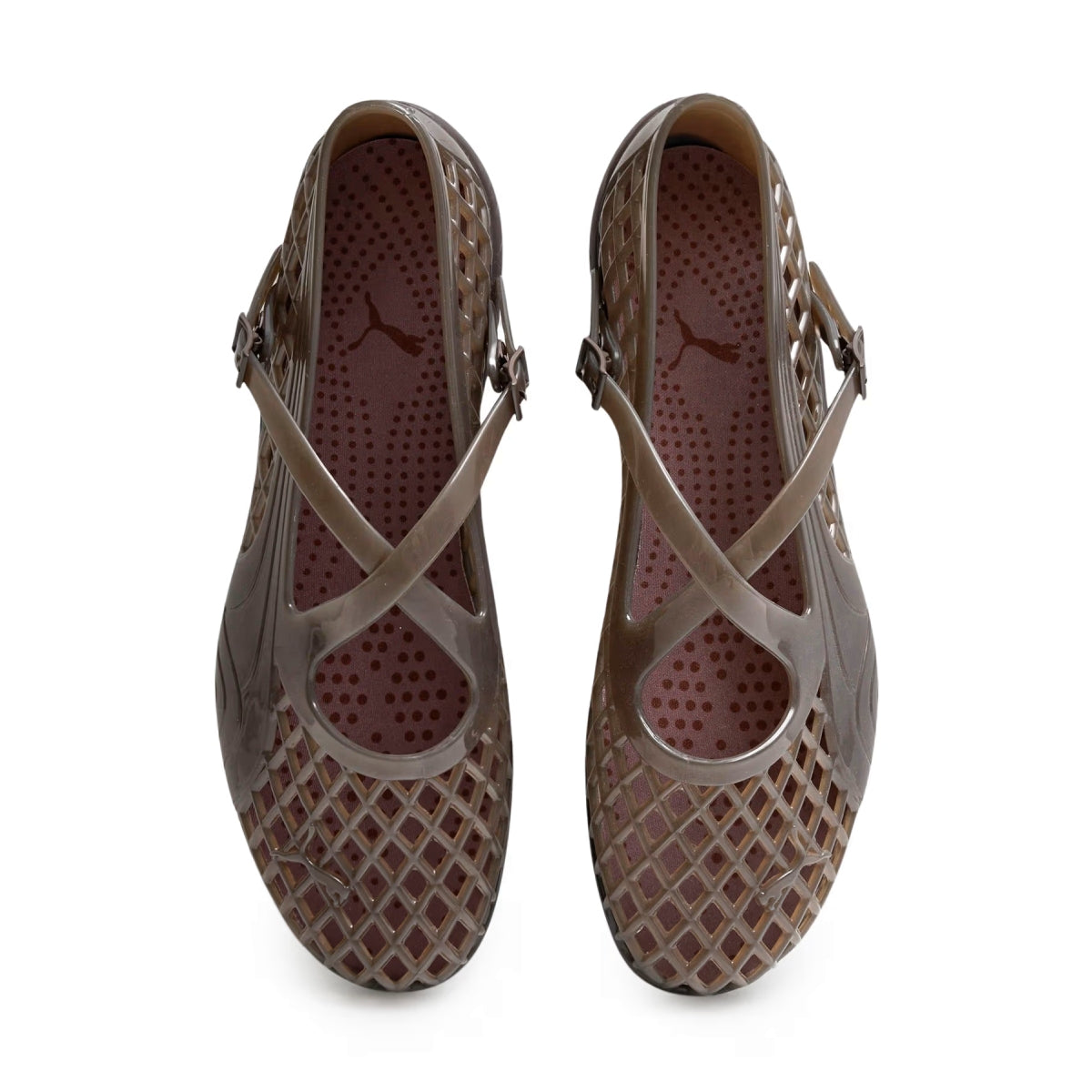 Wmns Speedcat Jelly 'Dark Clove'