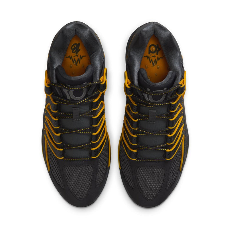 KD18 EP 'Black Anthracite University Gold'