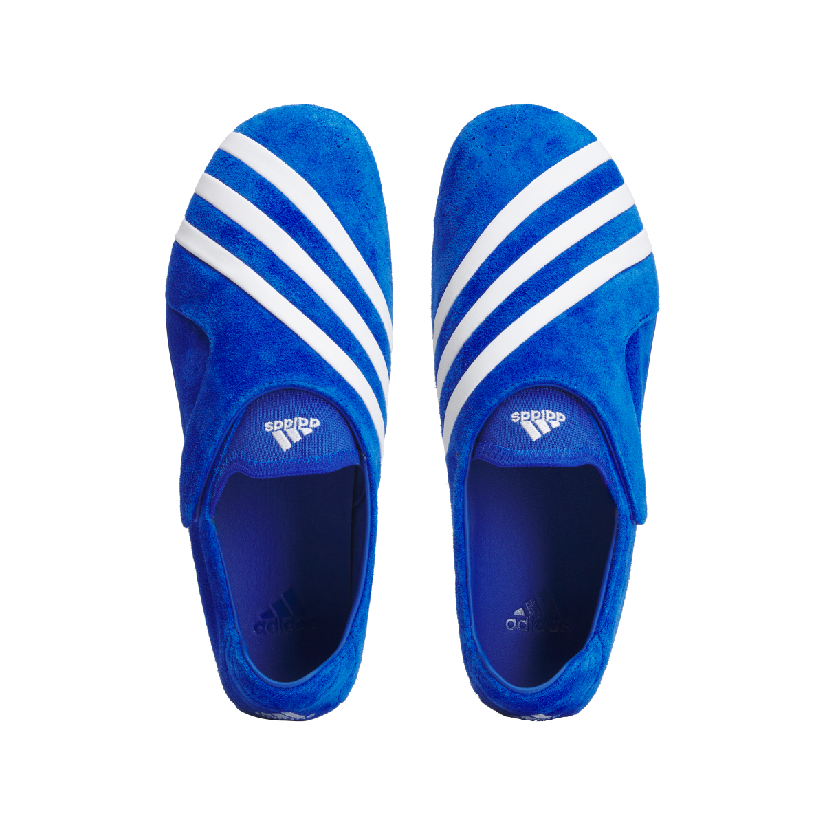 + Pharrell Vario Flat Earther 'Blue'
