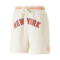 Puma sales hoops shorts