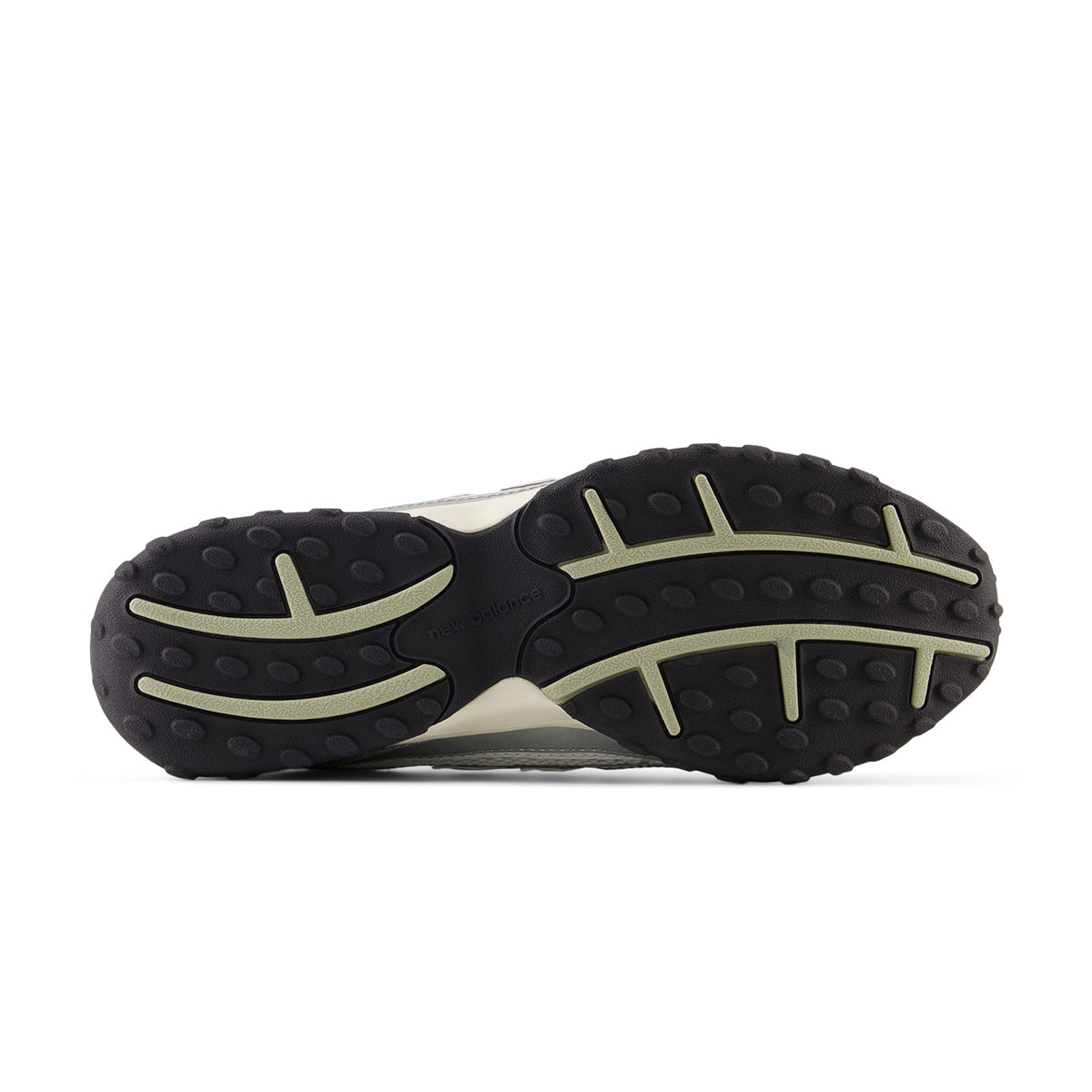 204L 'Silver Metallic Garter Snake'