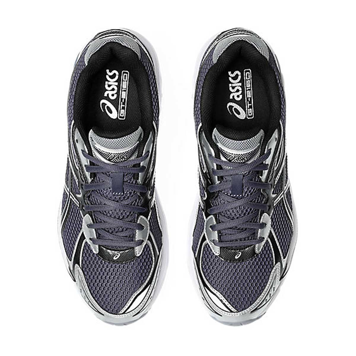 GT-2160 'Black Morpho'