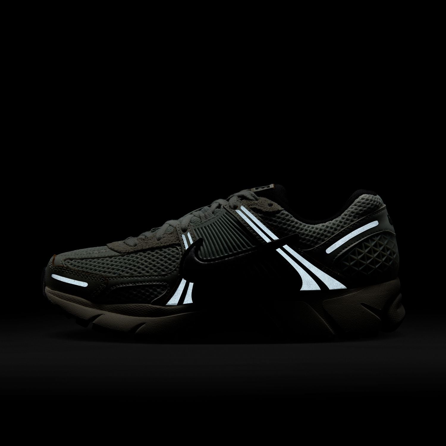 Wmns Zoom Vomero 5 'Light Silver Chrome'