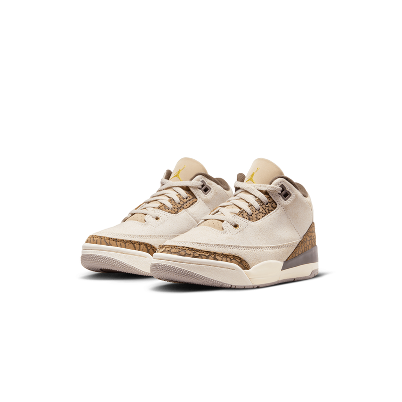 Jordan 3 2025 gym red