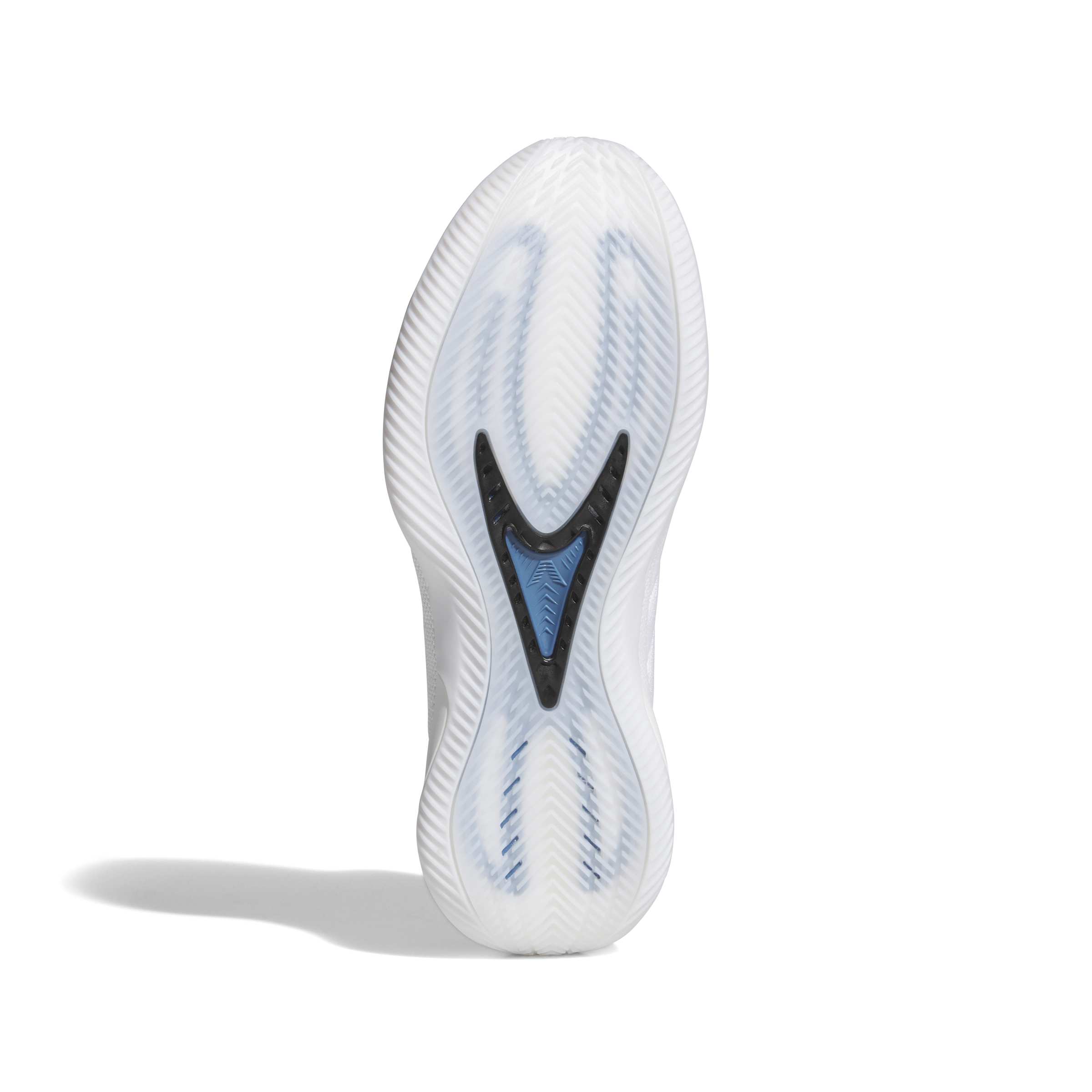 Anthony Edwards AE2 'Alphadawg'