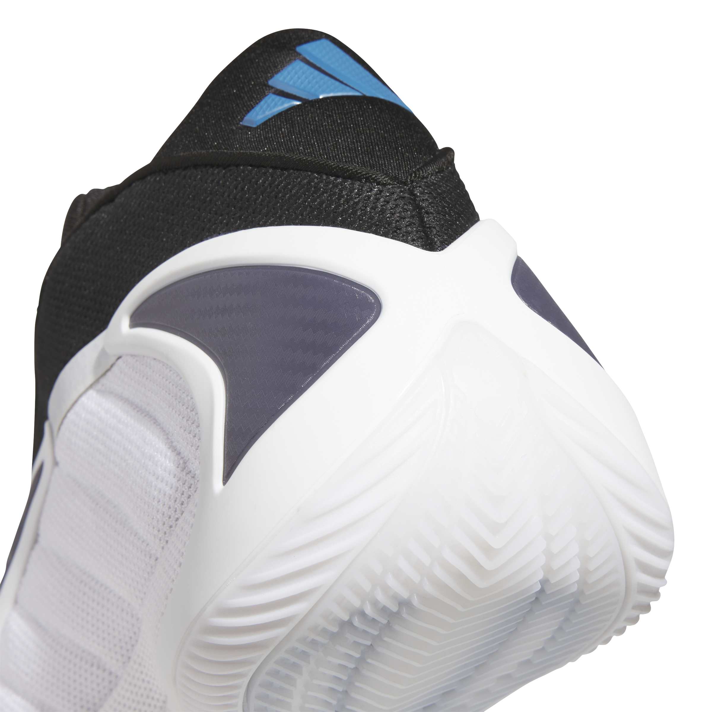 Anthony Edwards AE2 'Alphadawg'