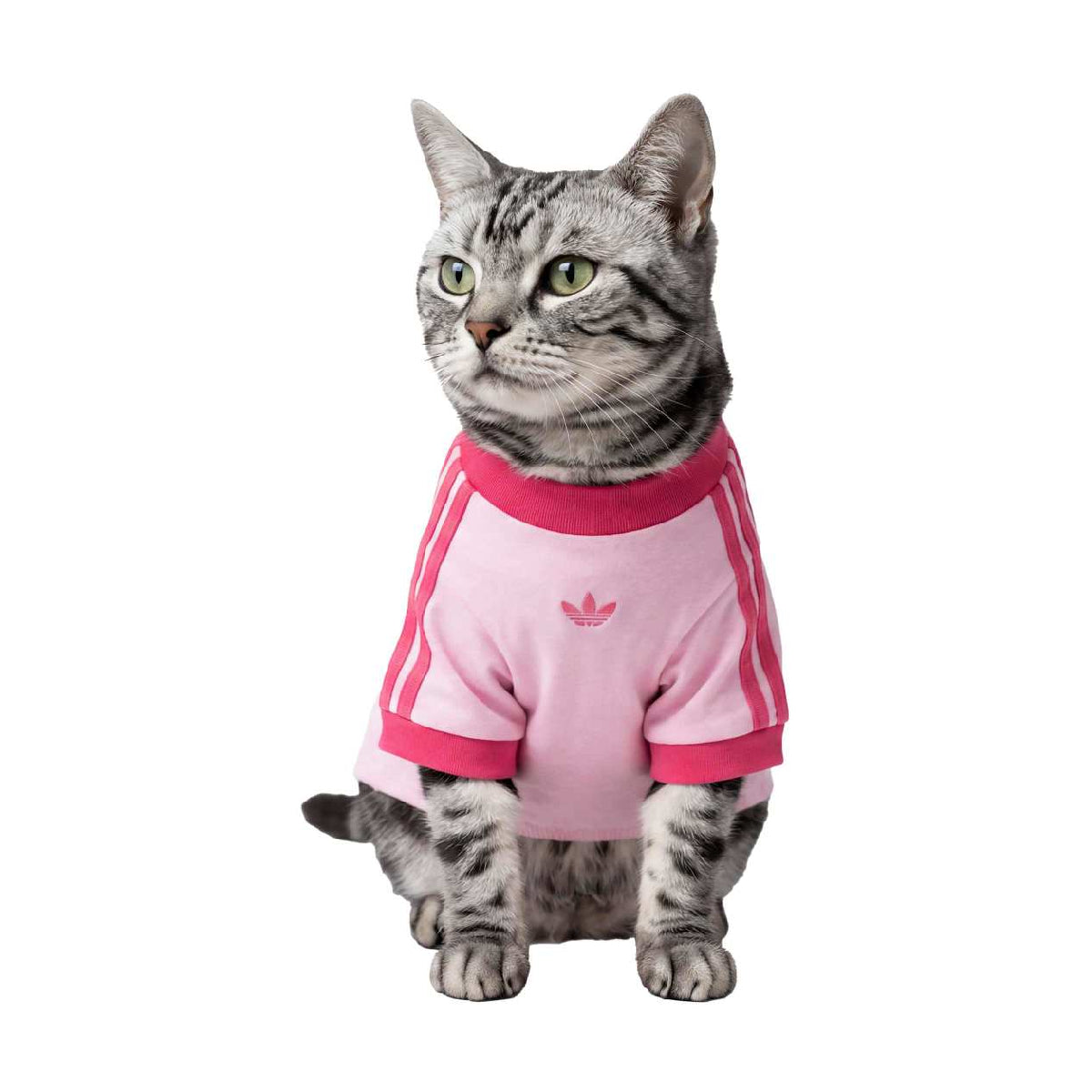 Pet Cali Tee 'Clear Pink Real Pink'