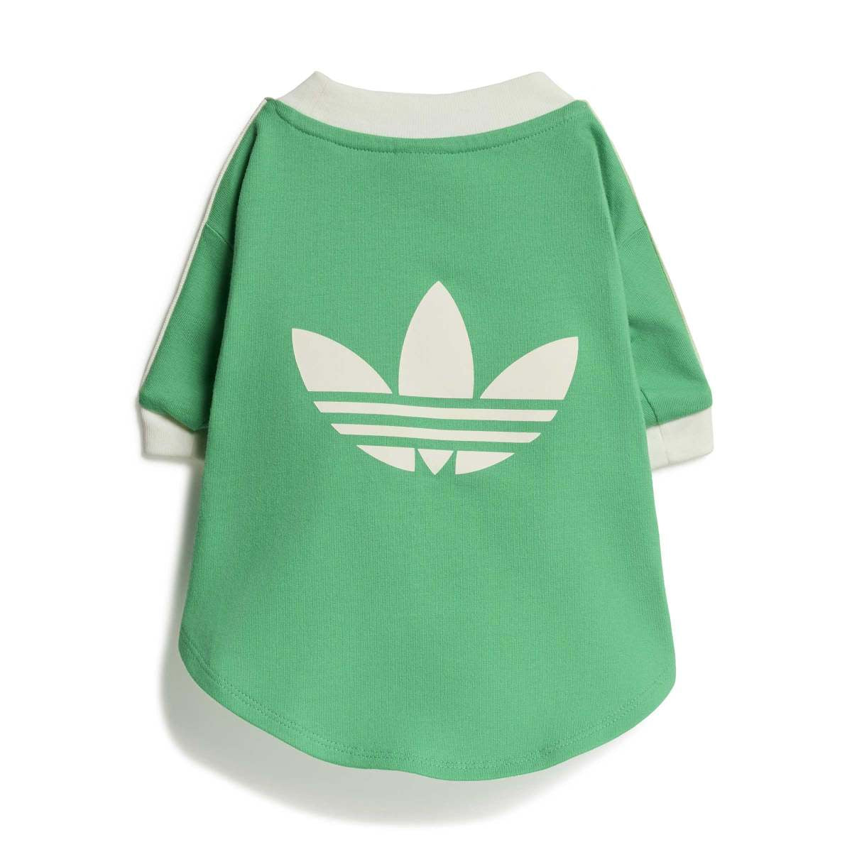 Pet Cali Tee 'Flash Lime'