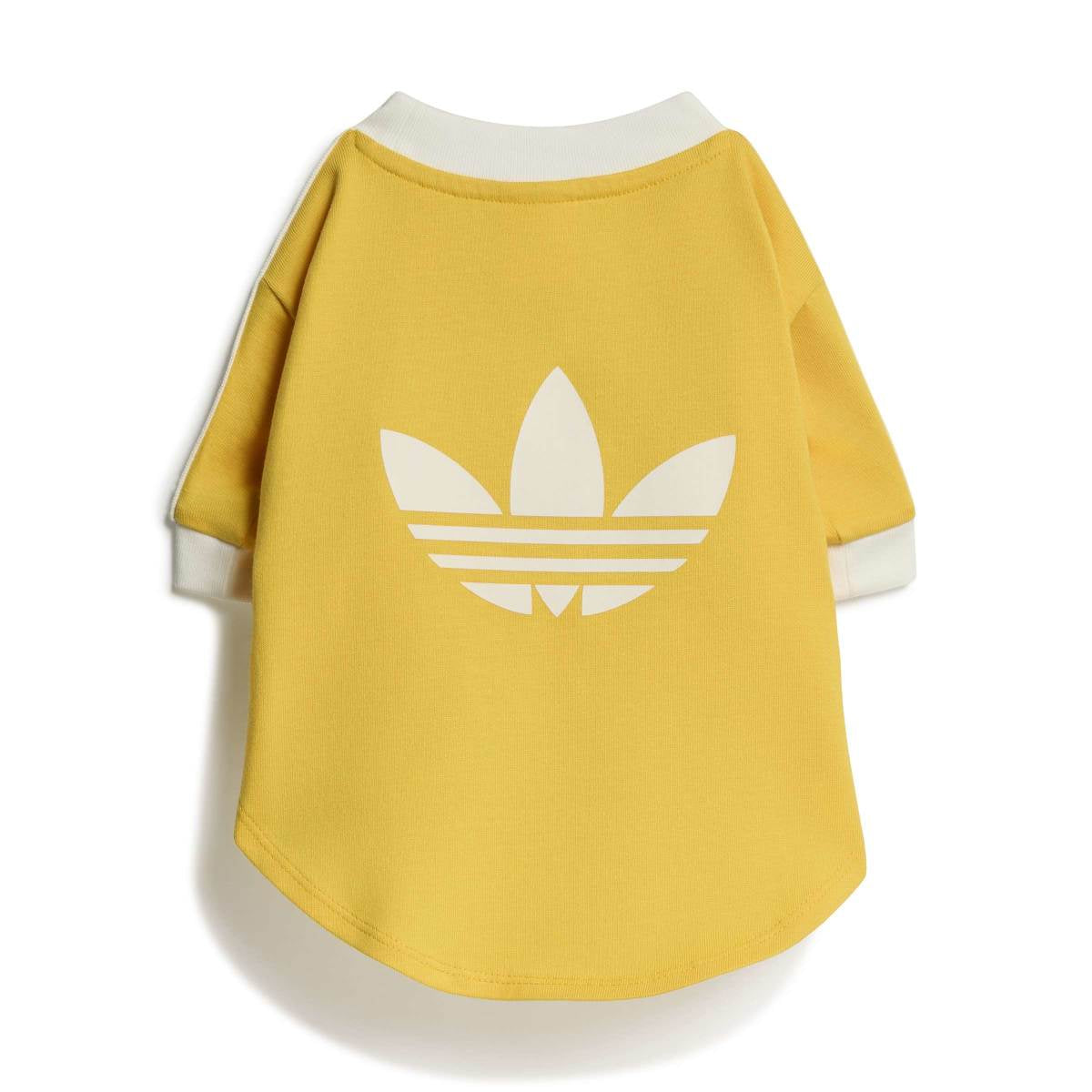 Pet Cali Tee 'Bold Gold Off White'