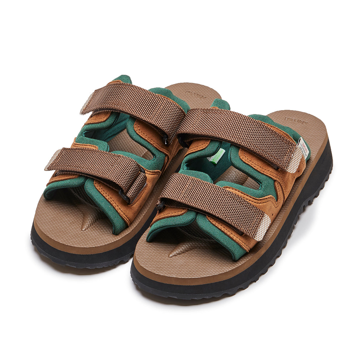 MOGI-ab 'Brown Olive'