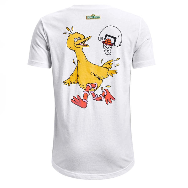 + Sesame Street Boy's Short Sleeve T-Shirt 'Big Bird Airplane'